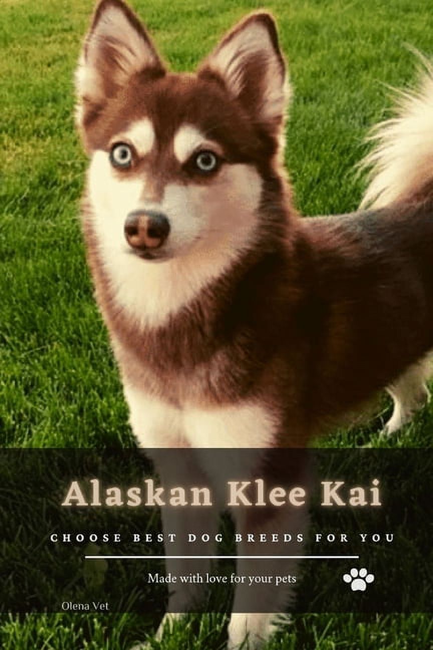 Alaskan Klee Kai : Choose best dog breeds for you (Paperback)